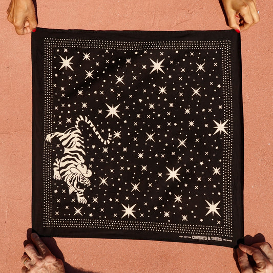 The Stars At Night